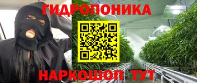 прущая мука Будённовск