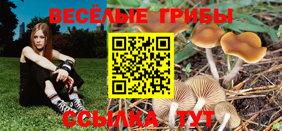 Галлюциногенные грибы MAGIC MUSHROOMS  Галлюциногенные грибы ЛСД  Тимашёвск  Вход с VPN 