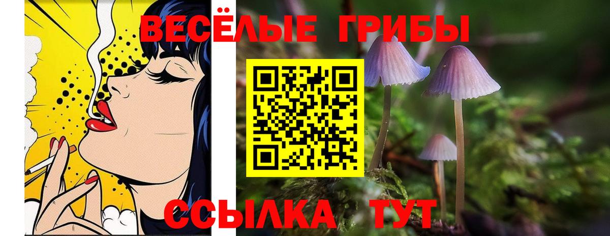 Галлюциногенные грибы Psilocybine cubensis Тимашёвск